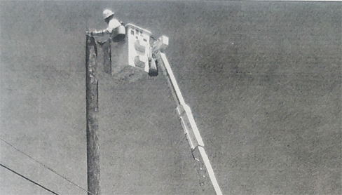 light pole